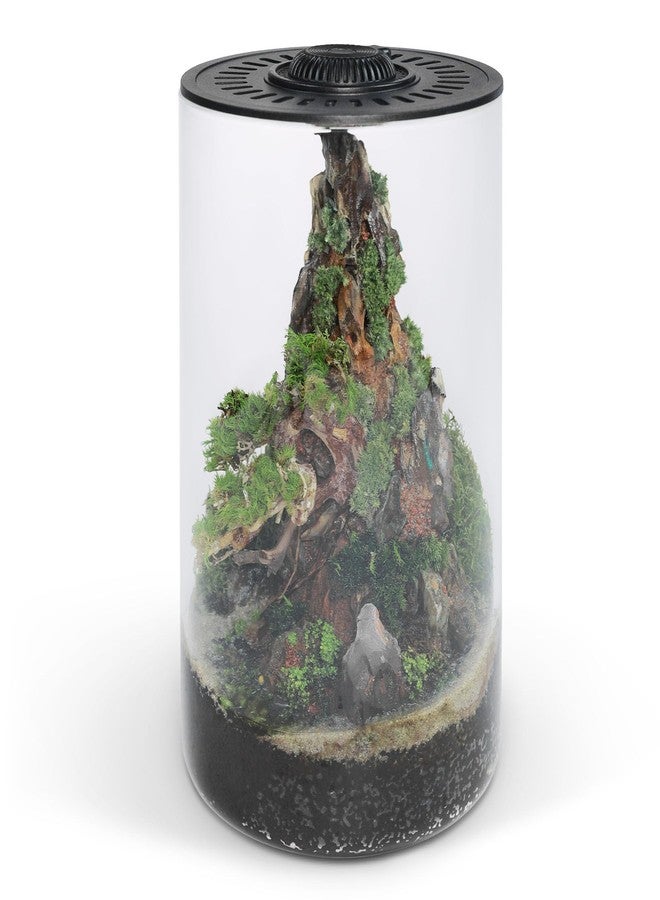 SubstrateSource Bio Cylinder - Glass Plant Terrarium Kit - Glass Terrarium w/LED Grow Light, Adjustable Ventilation Lid, Substrate, Moss & Accent Rocks - Bio Cylinder 150 - Image 2